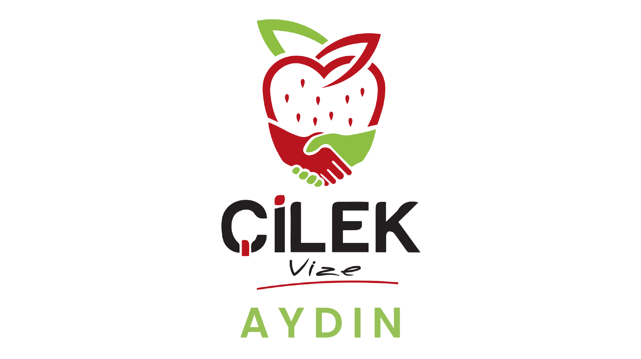 Sponsor